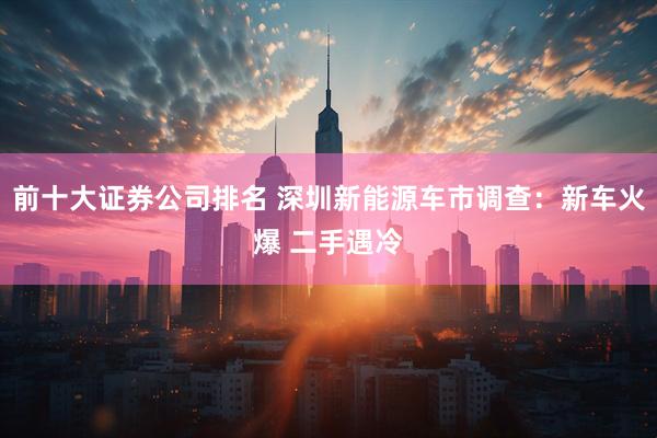 前十大证券公司排名 深圳新能源车市调查：新车火爆 二手遇冷